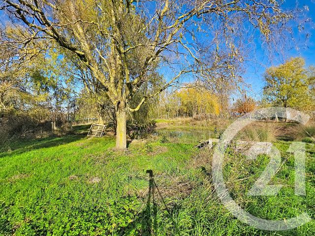 maison à vendre - 6 pièces - 179.0 m2 - LE LANGON - 85 - PAYS-DE-LOIRE - Century 21 Solution Immobilière