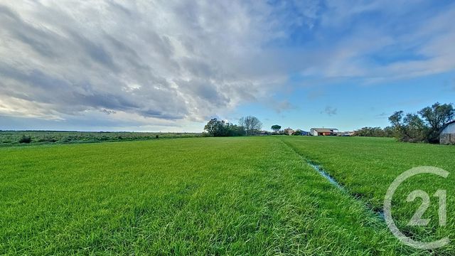 terrain à vendre - 6716.0 m2 - TRIAIZE - 85 - PAYS-DE-LOIRE - Century 21 Solution Immobilière