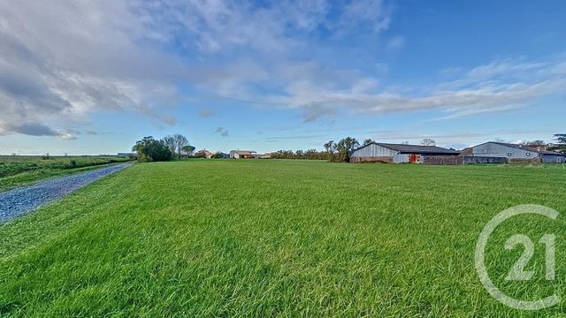 terrain à vendre - 6716.0 m2 - TRIAIZE - 85 - PAYS-DE-LOIRE - Century 21 Solution Immobilière