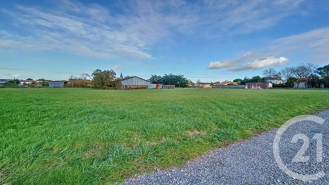 terrain à vendre - 6716.0 m2 - TRIAIZE - 85 - PAYS-DE-LOIRE - Century 21 Solution Immobilière