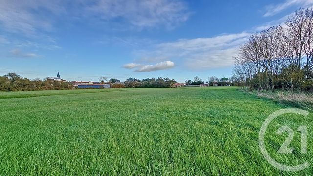 terrain à vendre - 6716.0 m2 - TRIAIZE - 85 - PAYS-DE-LOIRE - Century 21 Solution Immobilière