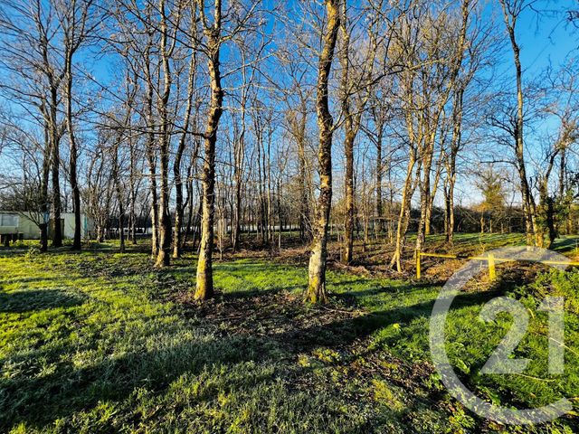 Afficher la photo en grand terrain à vendre - 9715.0 m2 - ST VINCENT SUR GRAON - 85 - PAYS-DE-LOIRE - Century 21 Solution Immobilière