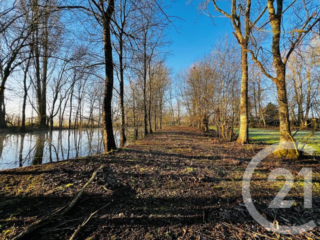 Afficher la photo en grand terrain à vendre - 9715.0 m2 - ST VINCENT SUR GRAON - 85 - PAYS-DE-LOIRE - Century 21 Solution Immobilière