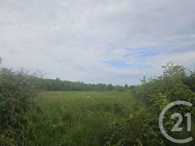 terrain à vendre - 9110.0 m2 - MOREILLES - 85 - PAYS-DE-LOIRE - Century 21 Solution Immobilière