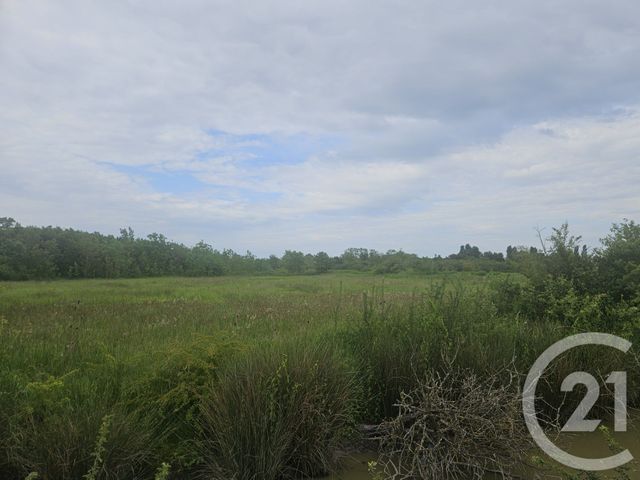 terrain à vendre - 9110.0 m2 - MOREILLES - 85 - PAYS-DE-LOIRE - Century 21 Solution Immobilière