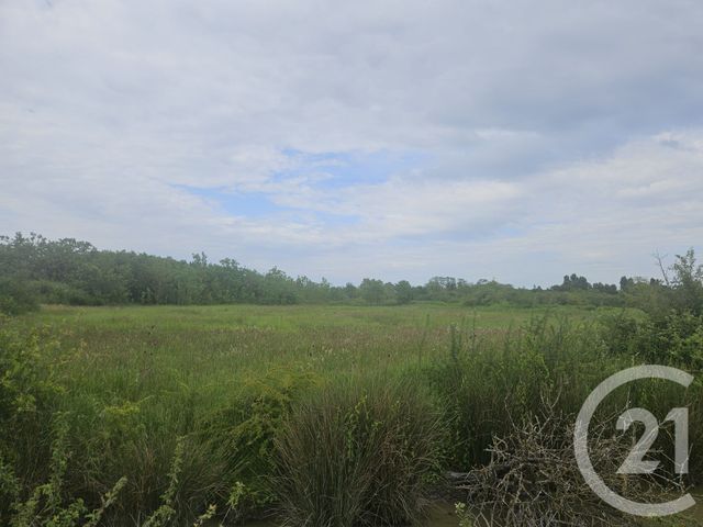 terrain à vendre - 9110.0 m2 - MOREILLES - 85 - PAYS-DE-LOIRE - Century 21 Solution Immobilière