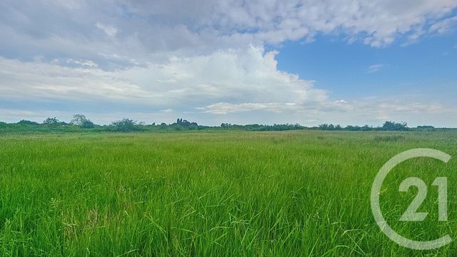 terrain à vendre - 9110.0 m2 - MOREILLES - 85 - PAYS-DE-LOIRE - Century 21 Solution Immobilière