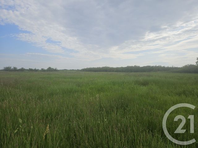 terrain à vendre - 9110.0 m2 - MOREILLES - 85 - PAYS-DE-LOIRE - Century 21 Solution Immobilière