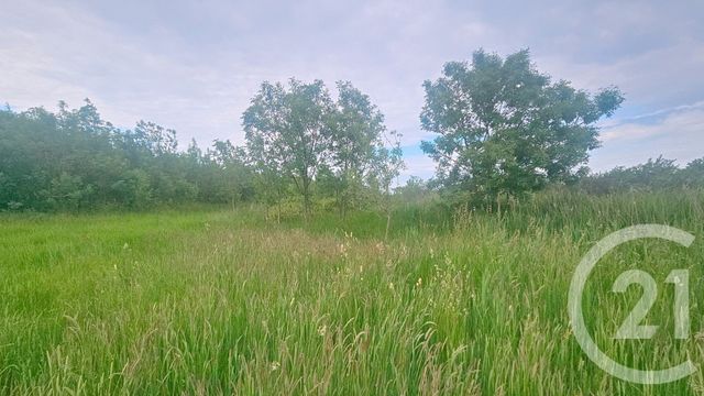 terrain à vendre - 9110.0 m2 - MOREILLES - 85 - PAYS-DE-LOIRE - Century 21 Solution Immobilière