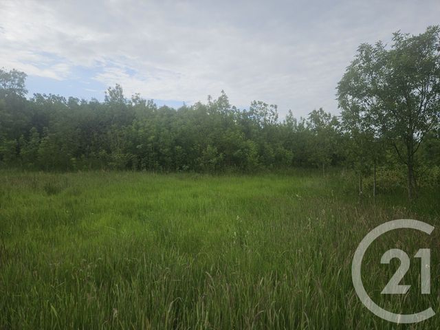 terrain à vendre - 9110.0 m2 - MOREILLES - 85 - PAYS-DE-LOIRE - Century 21 Solution Immobilière