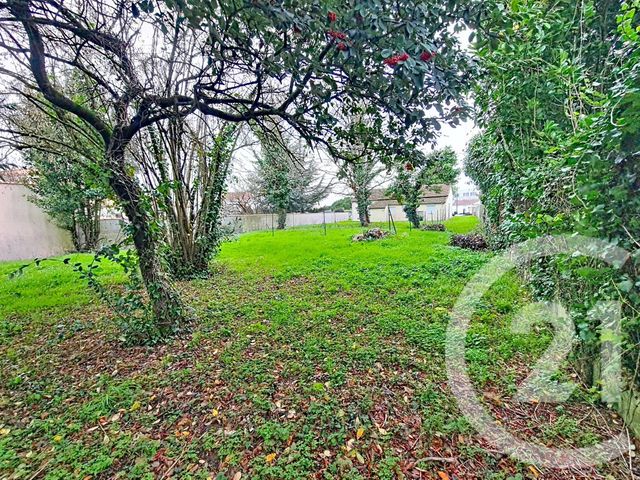 terrain - LUCON - 85