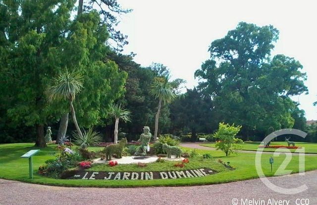 Appartement T1 à louer - 1 pièce - 21.76 m2 - LUCON - 85 - PAYS-DE-LOIRE - Century 21 Solution Immobilière