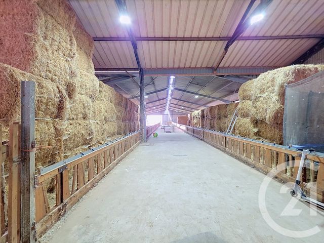 maison à vendre - 4 pièces - 156.0 m2 - CHAMPAGNE LES MARAIS - 85 - PAYS-DE-LOIRE - Century 21 Solution Immobilière