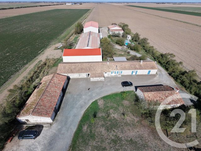 maison - CHAMPAGNE LES MARAIS - 85