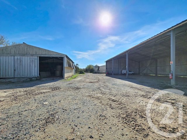 maison à vendre - 4 pièces - 156.0 m2 - CHAMPAGNE LES MARAIS - 85 - PAYS-DE-LOIRE - Century 21 Solution Immobilière